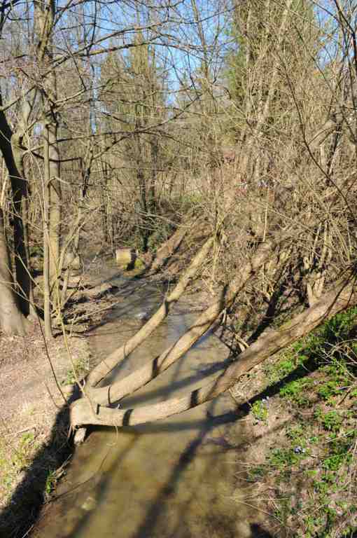 2010-04-04 Ostara im Germanengehöft Elsarn